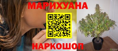 героин Пугачёв