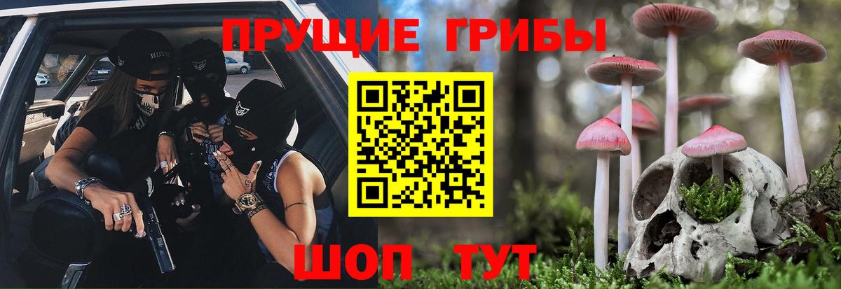 продажа наркотиков  Галлюциногенные грибы Psilocybe  Вход с VPN  Чита 